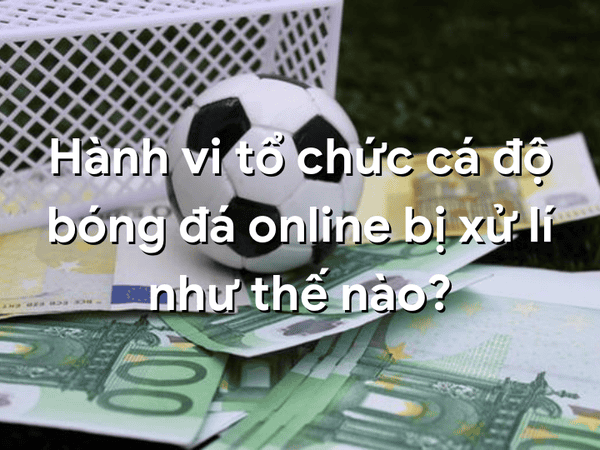 Tổ Chức Cá Độ Mua Kèo Bóng Đá Bị Xử Phạt Như Thế Nào?